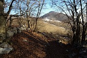 80 All'uscita dal bosco, lascio il sent. 571 e scendo il tratturo a dx